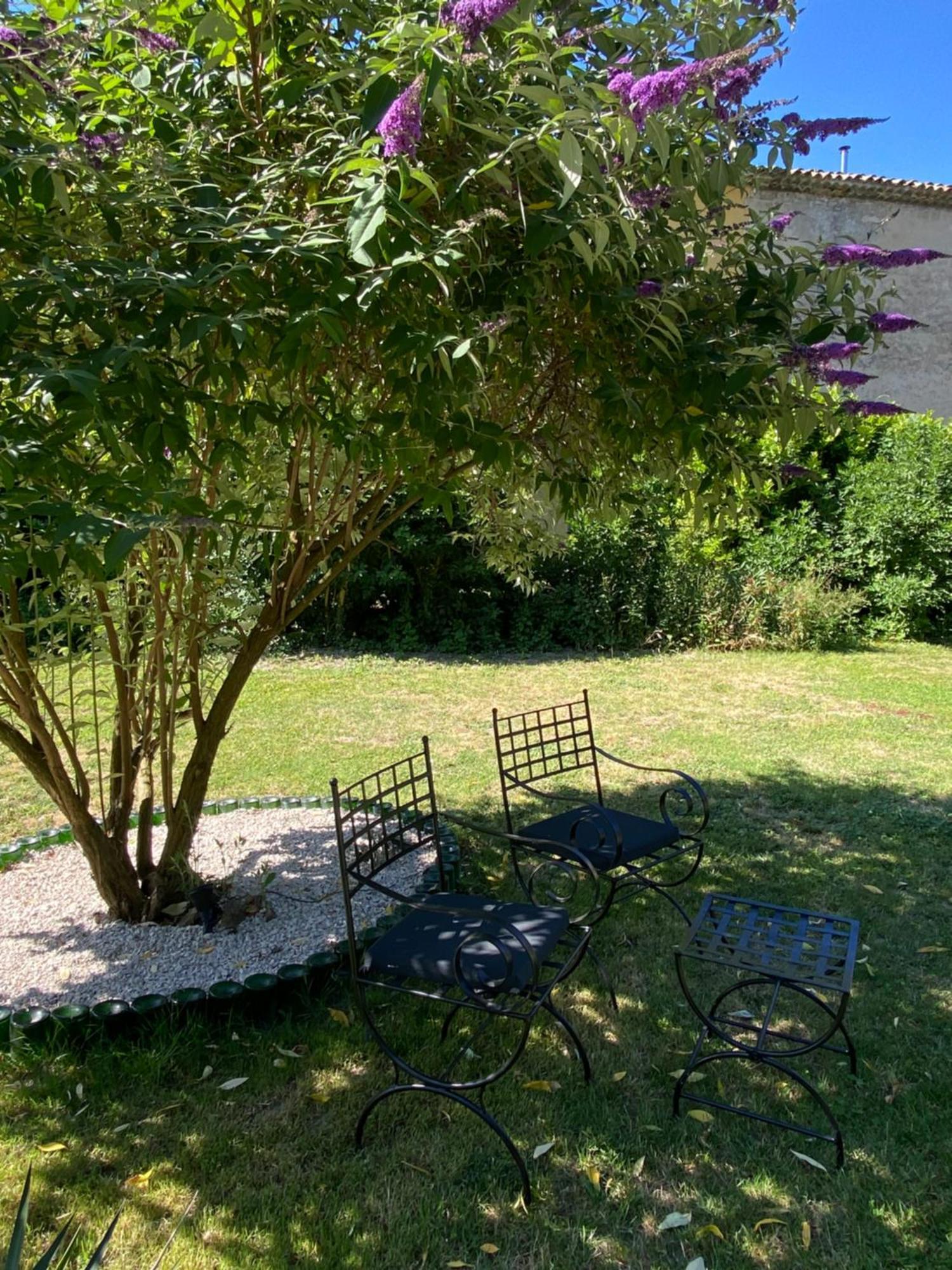 Appartement Les Cypres De L'Ile Avignon Exteriér fotografie